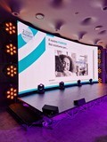 INFILED LEDWALL